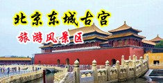 俄罗斯大吊男人操中国女人视频中国北京-东城古宫旅游风景区